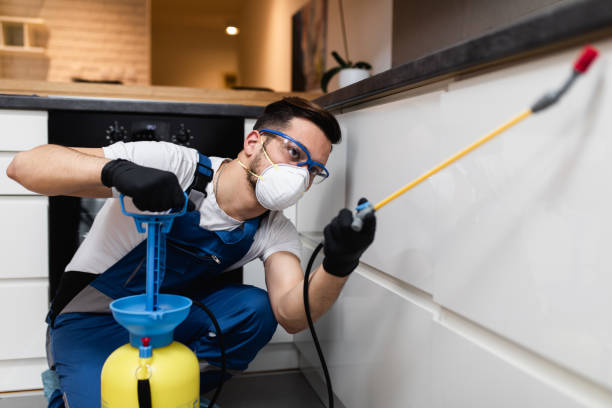 Best Flea Control Services  in Forest, OH