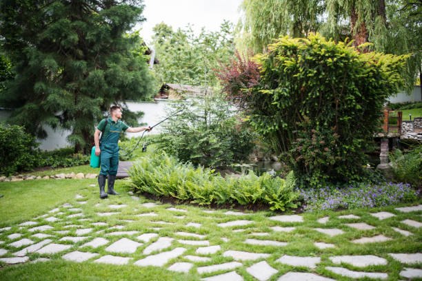 Best Local Pest Control Services  in Forest, OH