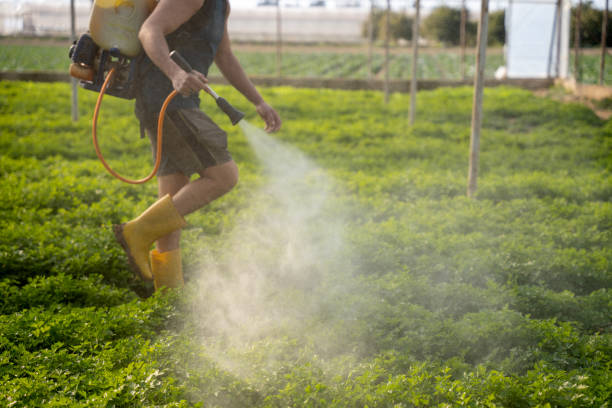 Professional Pest Control in Forest, OH