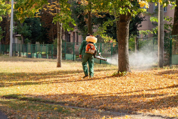 Best Wasp Removal Services  in Forest, OH