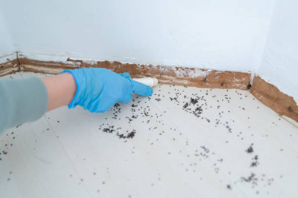 Best Pest Control Cost  in Forest, OH