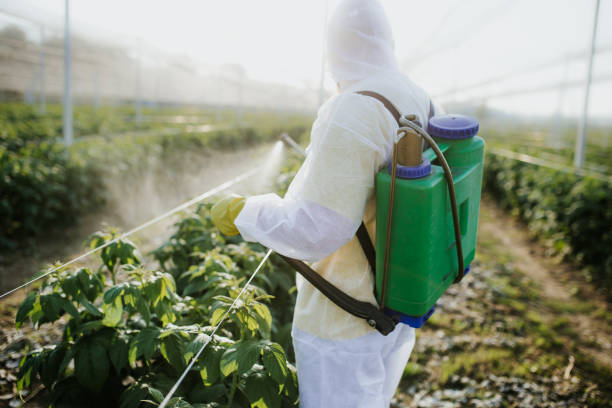 Best Emergency Pest Control  in Forest, OH